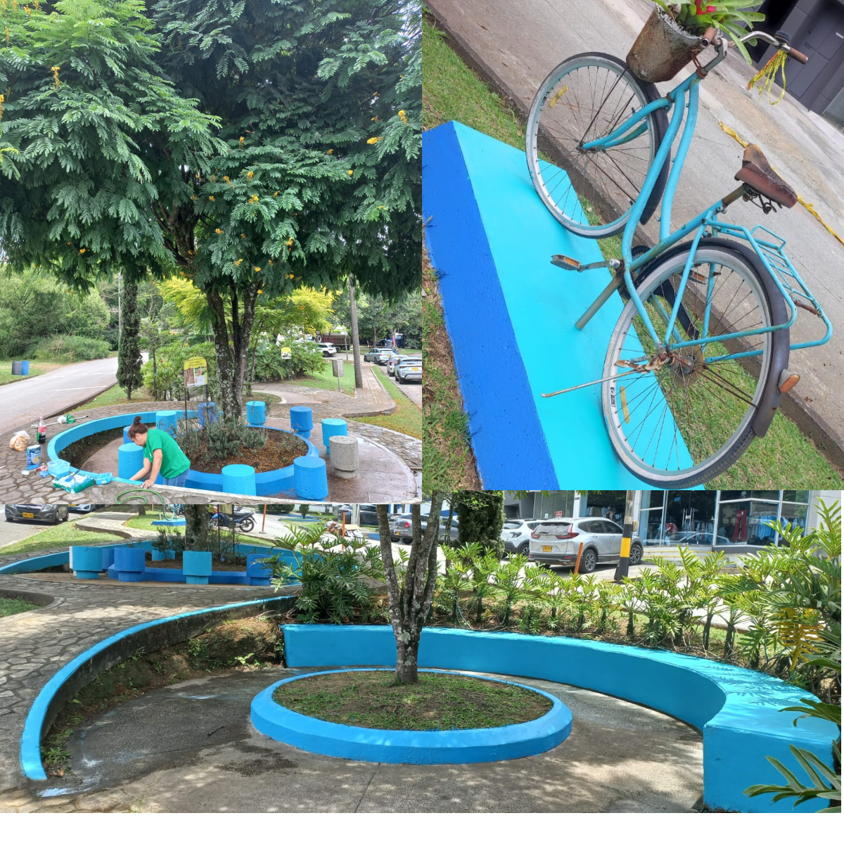 Audifarma + embellecimiento.png